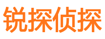 莎车市私家侦探